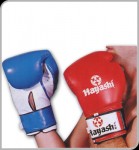 10 oz Boxing Gloves